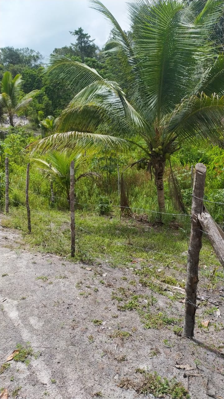 Imagem Terreno à Venda, 310 m²em Velha Boipeba - Cairu Imagem Terreno à Venda, 310 m²em Velha Boipeba - Cairu