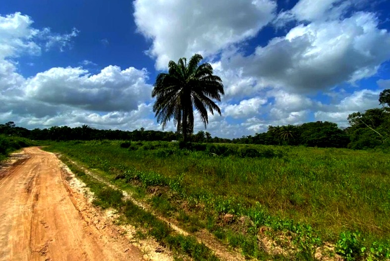 Imagem Terreno à Venda, 547.000 m² em Centro - Santa Izabel do Pará Imagem Terreno à Venda, 547.000 m² em Centro - Santa Izabel do Pará