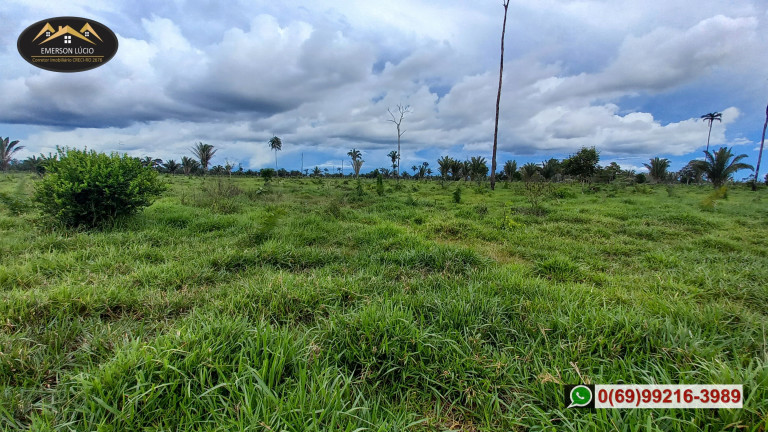 Imagem Fazenda à Venda, em Zona Rural - Candeias do Jamari Imagem Fazenda à Venda, em Zona Rural - Candeias do Jamari