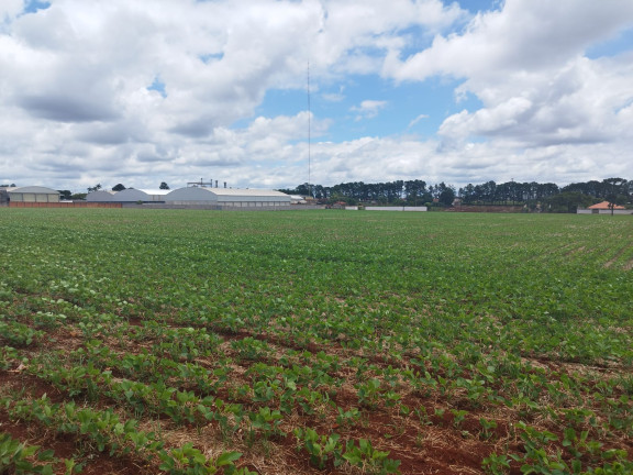 Terreno à Venda,  em Vila Industrial - Arapongas