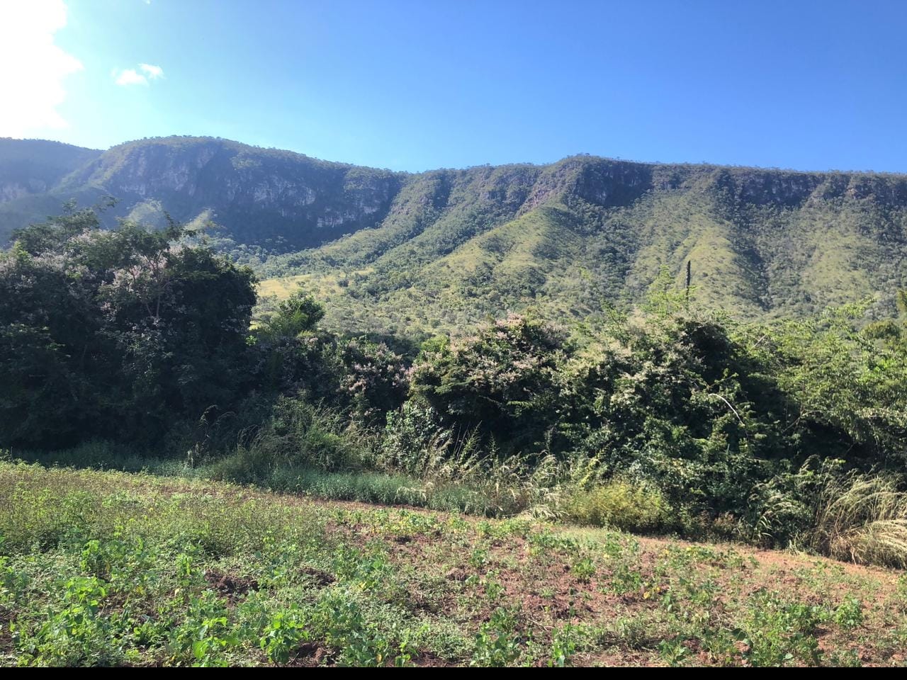 Imagem Chácara à Venda, 60 m²em Centro - Alto Paraíso de Goiás Imagem Chácara à Venda, 60 m²em Centro - Alto Paraíso de Goiás