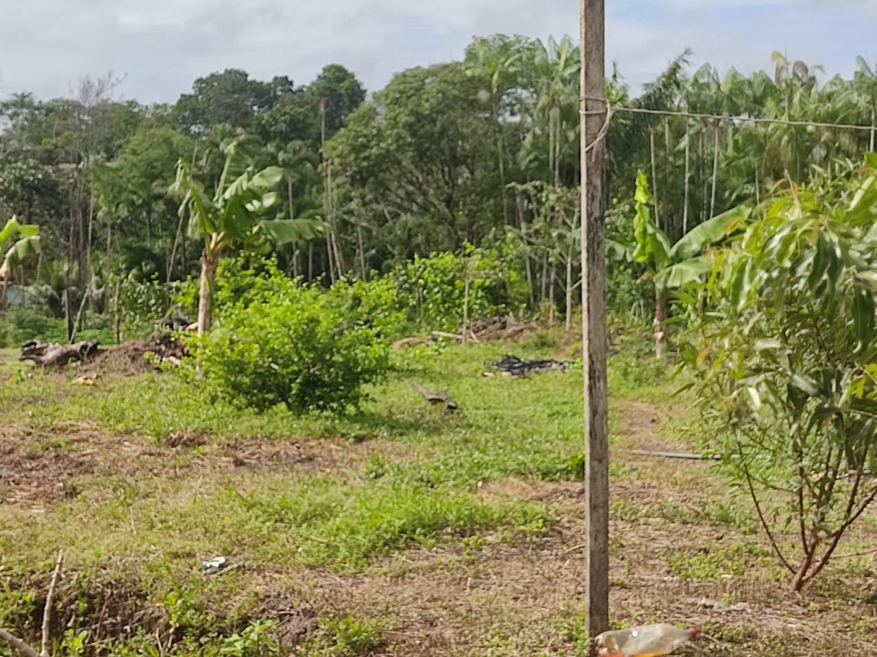 Imagem Terreno à Venda, 300.000 m² em - Bujaru Imagem Terreno à Venda, 300.000 m² em - Bujaru