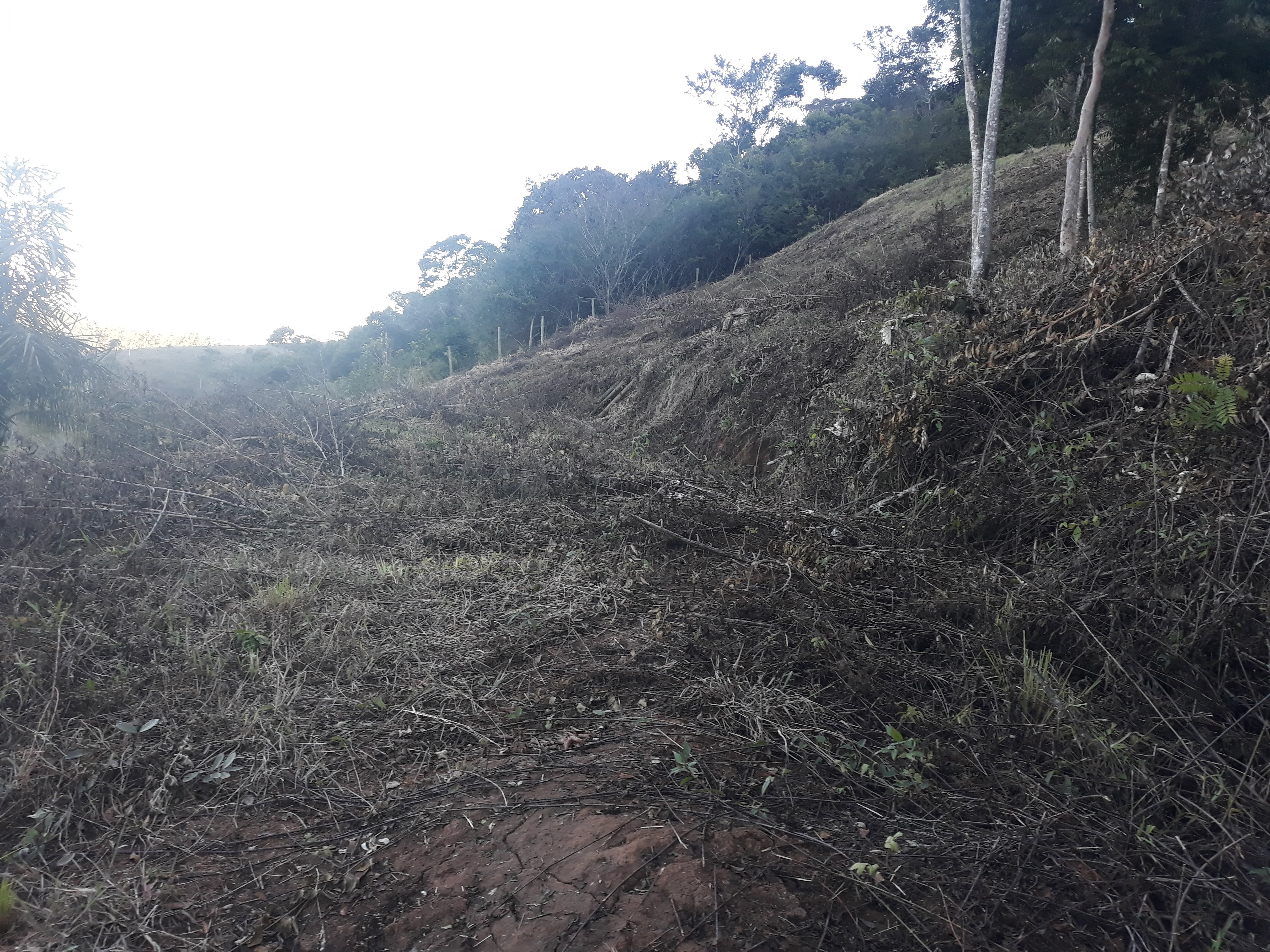 Imagem Terreno à Venda, em Humaitá - Juiz de Fora Imagem Terreno à Venda, em Humaitá - Juiz de Fora