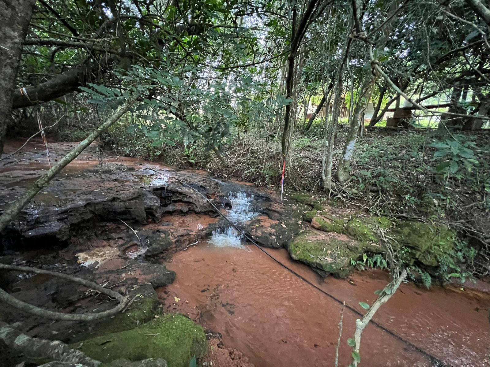 Imagem Chácara à Venda, 100.000 m²em Lomba Grande - Novo Hamburgo