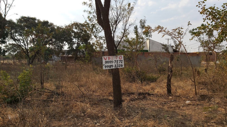 Imagem Terreno à Venda, 200 m² em Parque Novo Século - Campo Grande Imagem Terreno à Venda, 200 m² em Parque Novo Século - Campo Grande