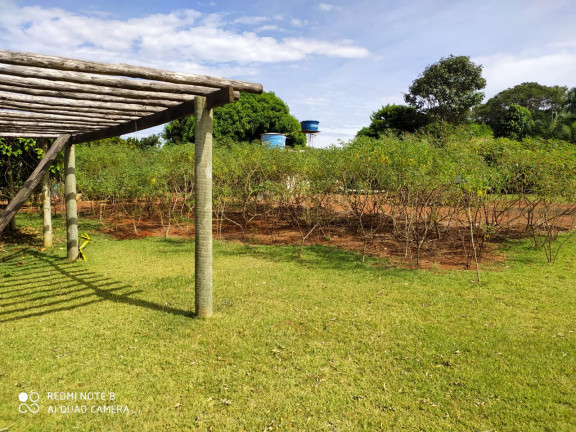Imagem Chácara com 1 Quarto à Venda, 200 m² em Condominio Bela Vista - Santo Antônio de Goiás Imagem Chácara com 1 Quarto à Venda, 200 m² em Condominio Bela Vista - Santo Antônio de Goiás