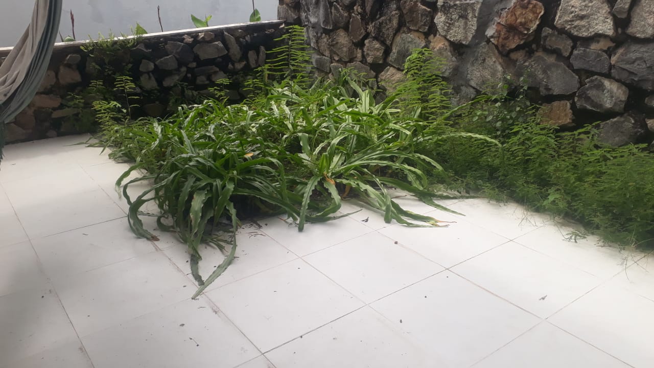 Imagem Casa com 4 Quartos à Venda, 600 m²em Centro - Lauro de Freitas Imagem Casa com 4 Quartos à Venda, 600 m²em Centro - Lauro de Freitas