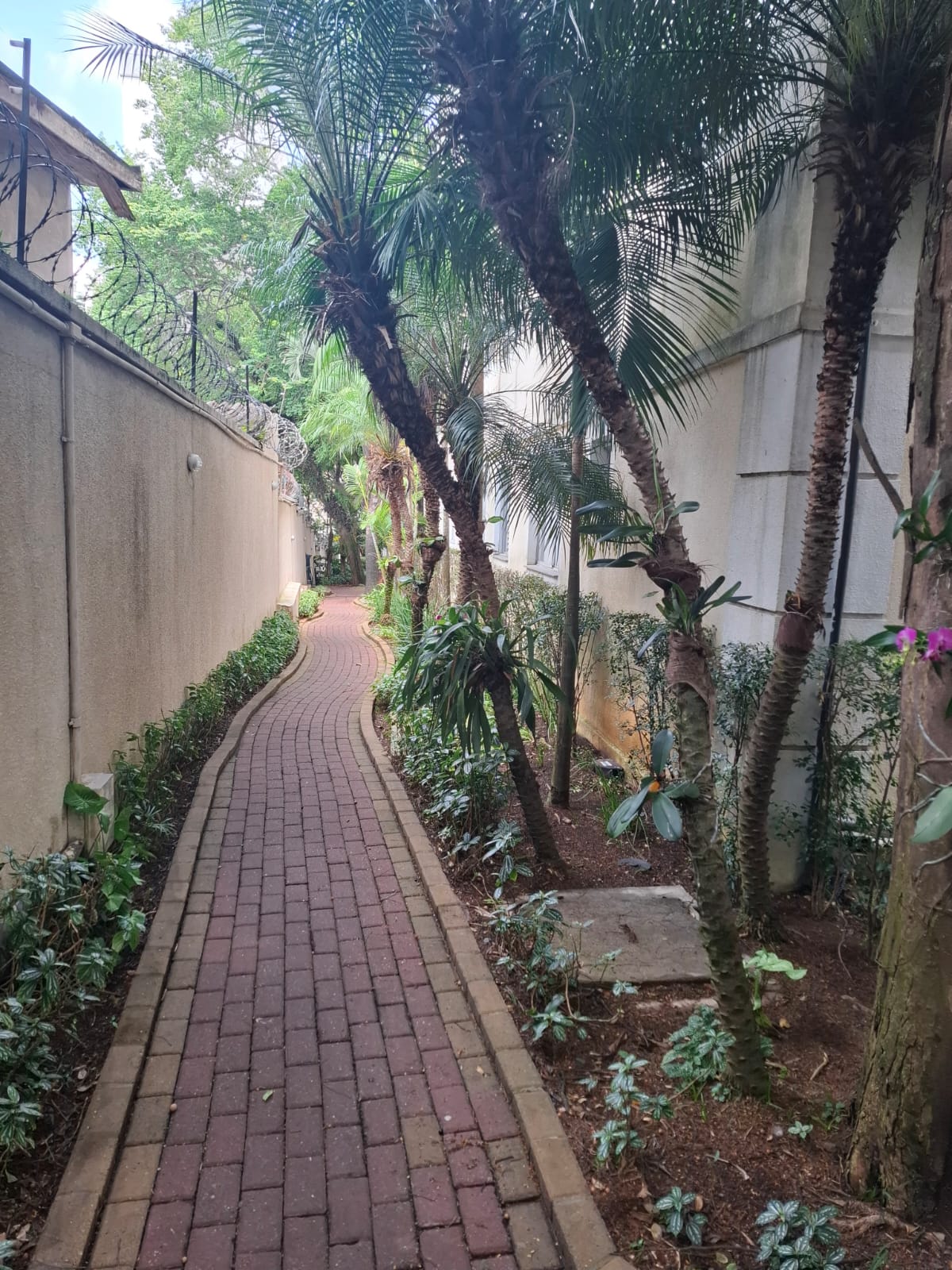 Imagem Apartamento com 2 Quartos à Venda, 47 m² em Jardim Leonor - São Paulo Imagem Apartamento com 2 Quartos à Venda, 47 m² em Jardim Leonor - São Paulo