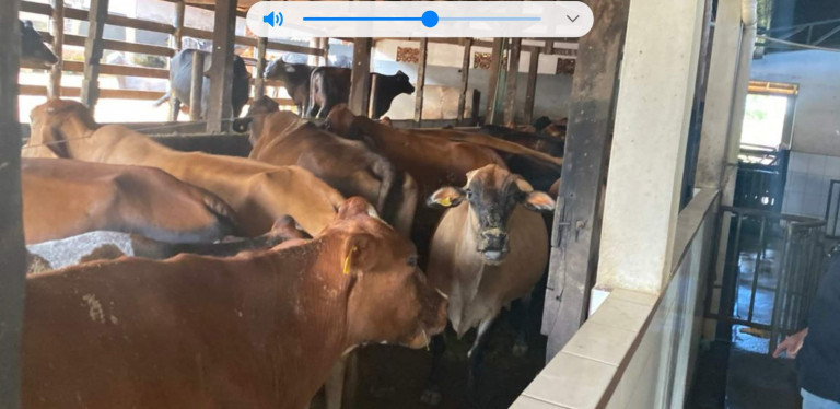 Chácara com 7 Quartos à Venda, 58.000 m² em Olhos  D'água  - Alexânia  - GO - Alexânia