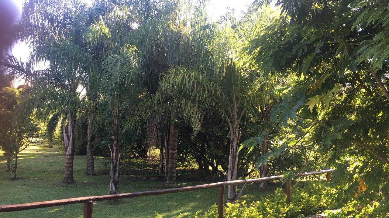 Imagem Terreno em Condomínio à Venda, 530 m²em Condomínio Reserva da Serra - Jundiaí Imagem Terreno em Condomínio à Venda, 530 m²em Condomínio Reserva da Serra - Jundiaí