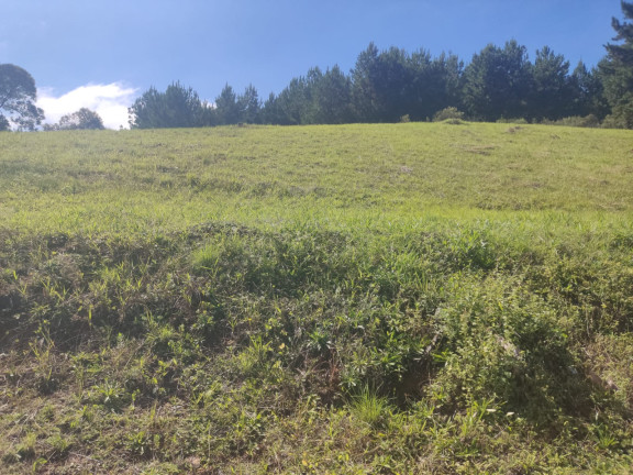 Chácara com 3 Quartos à Venda, 3.196 m² em Lagoa dos Souza - Agudos do Sul