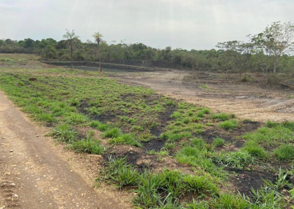 Imagem Chácara à Venda, 20.000 m² em Nova Goianira - Goianira Imagem Chácara à Venda, 20.000 m² em Nova Goianira - Goianira
