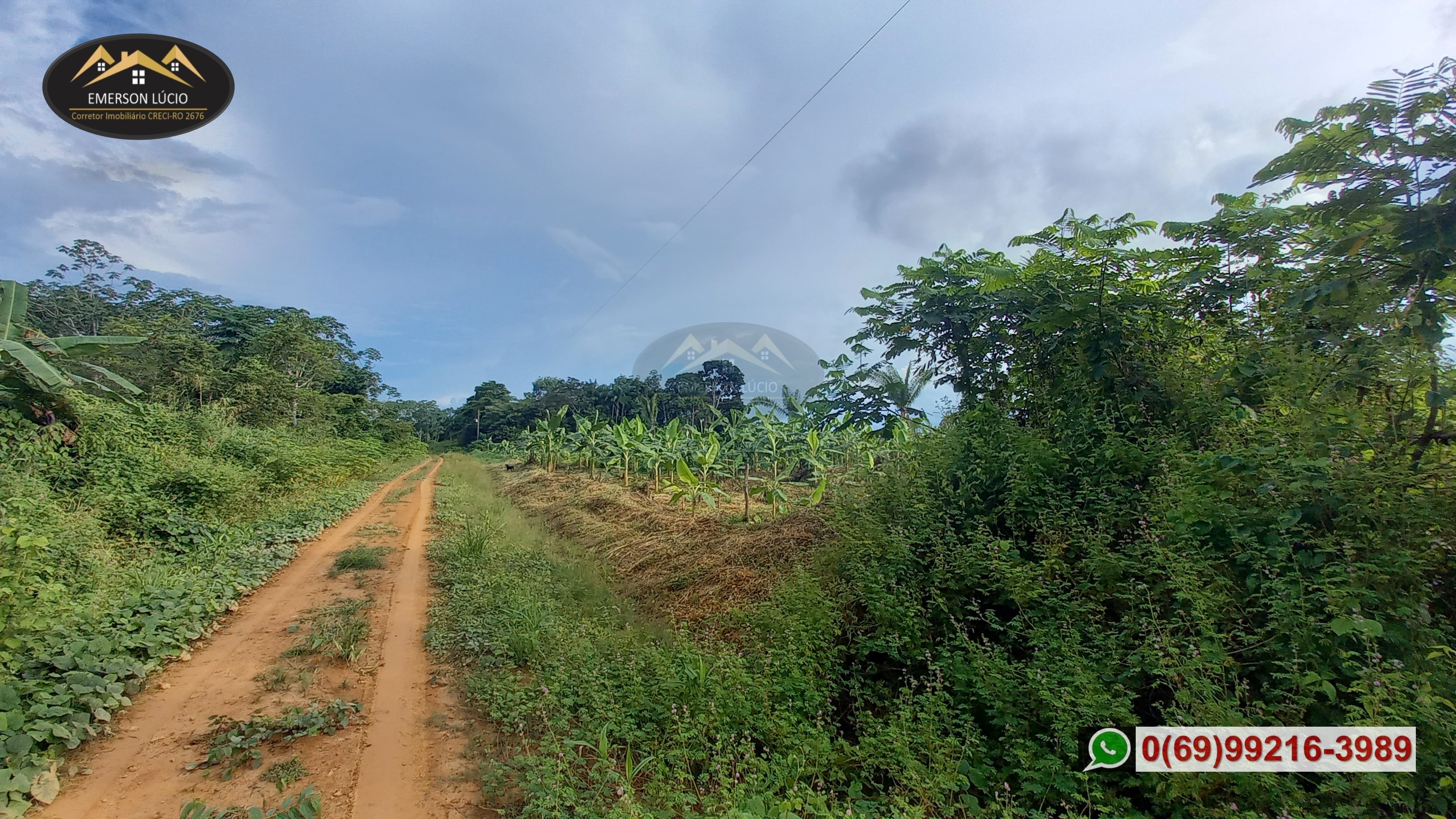 Imagem Fazenda à Venda, 50 HAem Rio Madeira - Porto Velho