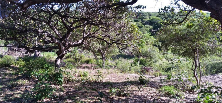 Imagem Terreno à Venda, 5.658 m²em Pajuçara - Natal Imagem Terreno à Venda, 5.658 m²em Pajuçara - Natal