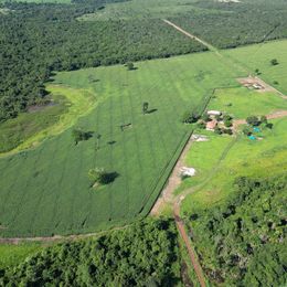 Imagem Fazenda à Venda, 100 m²em ZONA RURAL - São Miguel do Araguaia Imagem Fazenda à Venda, 100 m²em ZONA RURAL - São Miguel do Araguaia