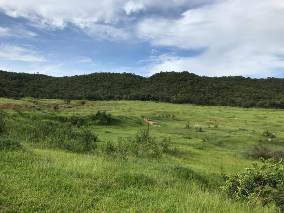 Imagem Chácara com 1 Quarto à Venda, 20.000 m² em Independência - 1º Complemento Setor das Mansões - Aparecida de Goiânia