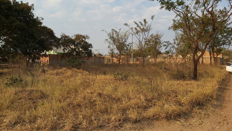 Imagem Terreno à Venda, 200 m² em Parque Novo Século - Campo Grande Imagem Terreno à Venda, 200 m² em Parque Novo Século - Campo Grande
