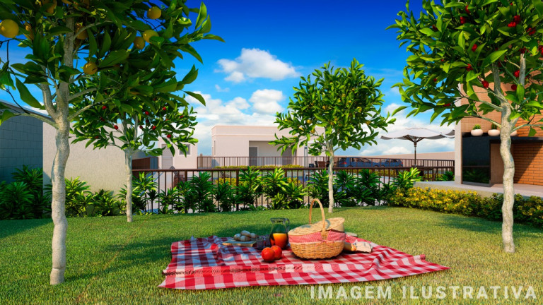 Imagem Apartamento com 2 Quartos à Venda, 37 m² em Mondubim - Fortaleza Imagem Apartamento com 2 Quartos à Venda, 37 m² em Mondubim - Fortaleza