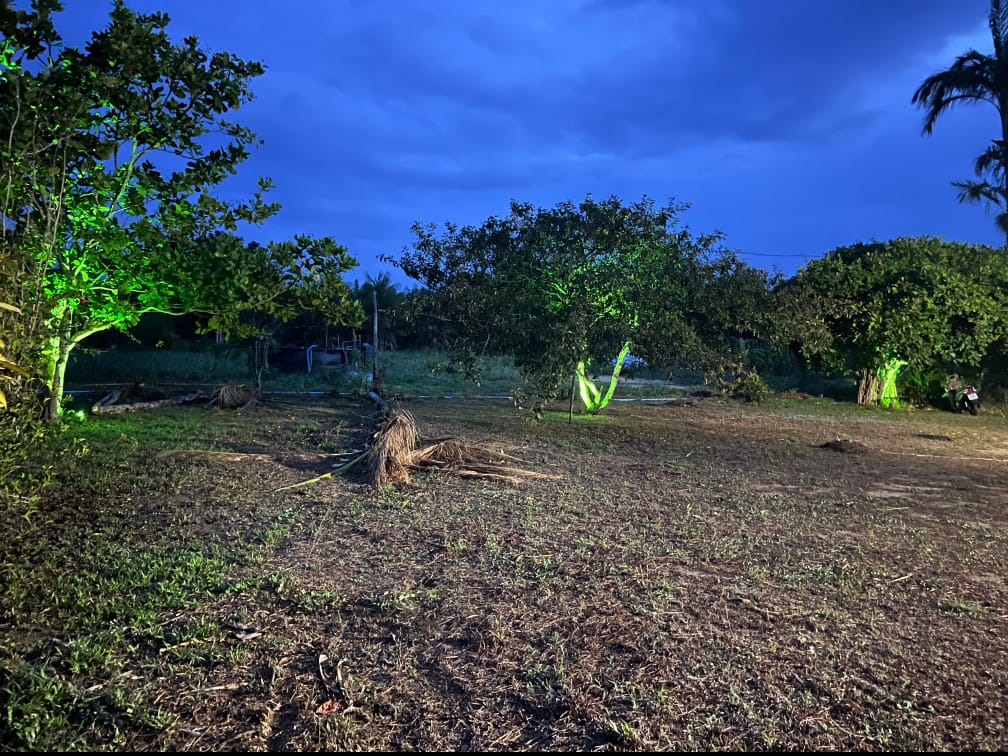 Chácara com 2 Quartos à Venda, 65.000 m² em São Pio X - Capanema