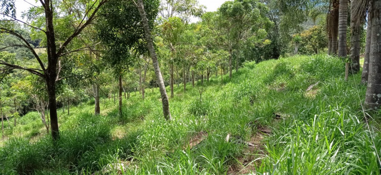 Imagem Terreno à Venda, 450.000 m² em Área Rural de Itabirito - Itabirito Imagem Terreno à Venda, 450.000 m² em Área Rural de Itabirito - Itabirito