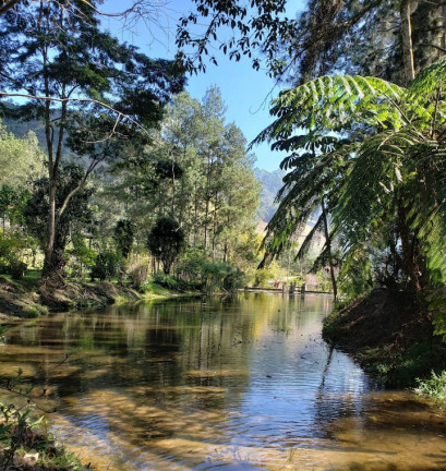 Imagem Chácara com 5 Quartos à Venda, 20.000 m² em Prado - Nova Friburgo Imagem Chácara com 5 Quartos à Venda, 20.000 m² em Prado - Nova Friburgo