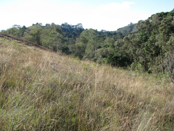 Imagem Terreno à Venda, 1.380 m² em Descansopolis - Campos do Jordão Imagem Terreno à Venda, 1.380 m² em Descansopolis - Campos do Jordão