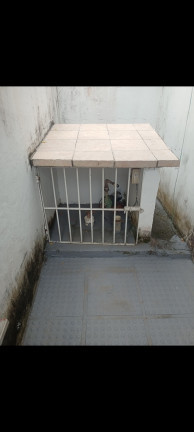 Imagem Casa com 4 Quartos à Venda,  em Jardim Atlântico - Olinda
