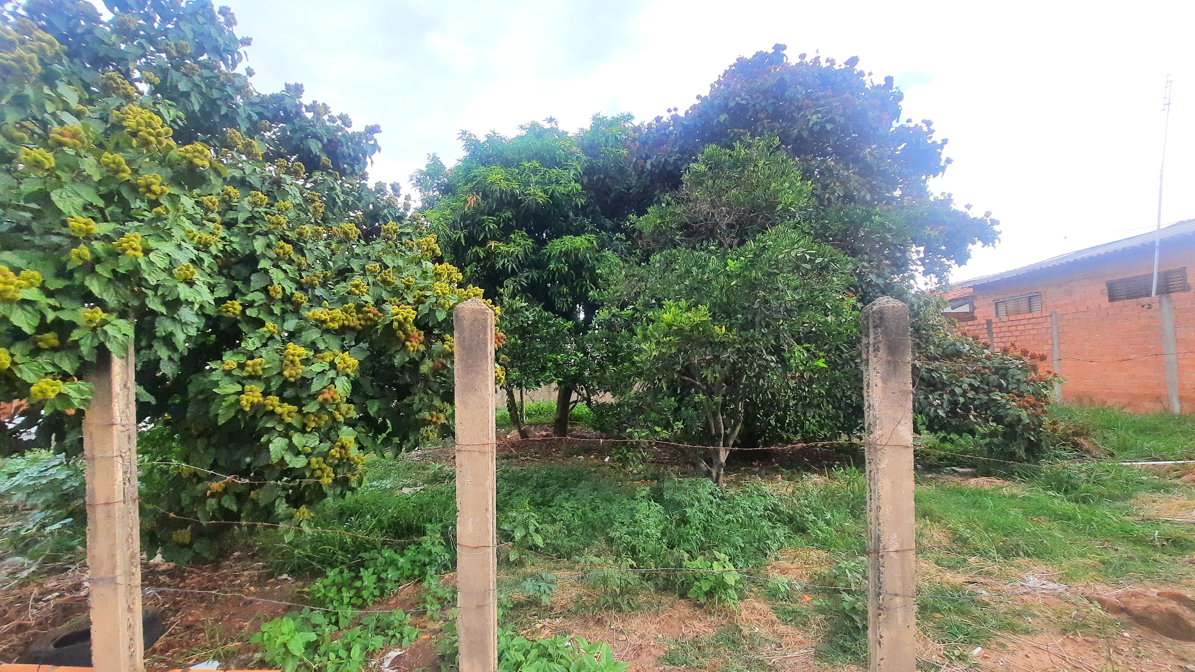 Imagem Terreno à Venda, 400 m²em Parque Marajoara - Botucatu Imagem Terreno à Venda, 400 m²em Parque Marajoara - Botucatu
