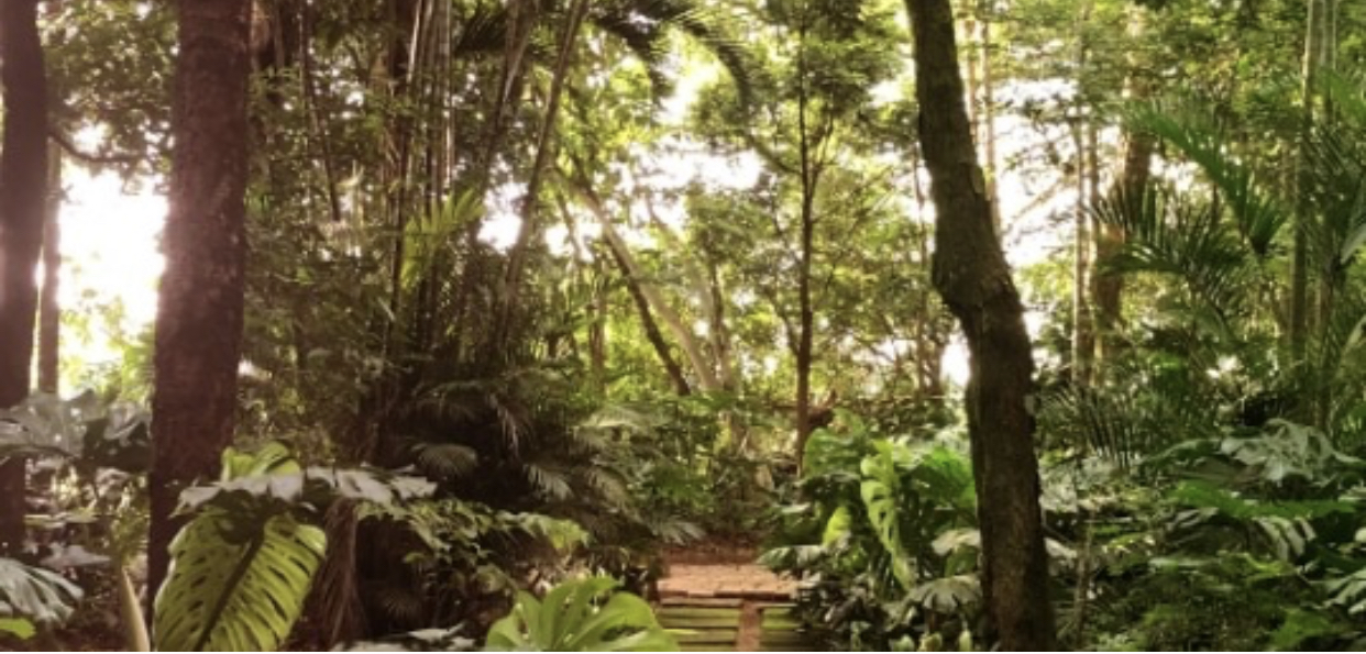 Imagem Terreno em Condomínio à Venda, 360 m²em Chácara Alvorada - Indaiatuba Imagem Terreno em Condomínio à Venda, 360 m²em Chácara Alvorada - Indaiatuba