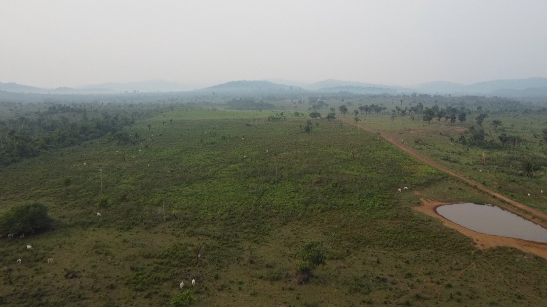 Imagem Fazenda à Venda, 1 m²em Centro  - São Félix do Xingu