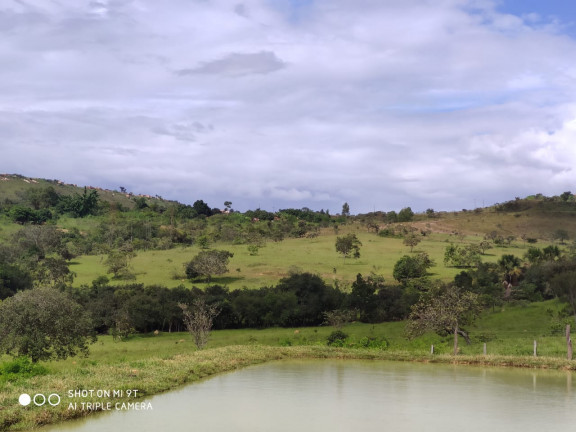 Imagem Fazenda à Venda, 400.000m² em Girassol - Cocalzinho de Goiás Imagem Fazenda à Venda, 400.000m² em Girassol - Cocalzinho de Goiás