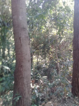 Imagem Terreno à Venda, 123.000 m² em Zona Rural - Santa Bárbara do Tugúrio Imagem Terreno à Venda, 123.000 m² em Zona Rural - Santa Bárbara do Tugúrio