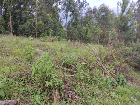 Imagem Terreno à Venda, 1.480 m² em LEÃO - Agudos do Sul Imagem Terreno à Venda, 1.480 m² em LEÃO - Agudos do Sul