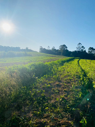 Imagem Chácara à Venda, 1.000 m² em Votora Curral Paruru - Ibiúna Imagem Chácara à Venda, 1.000 m² em Votora Curral Paruru - Ibiúna