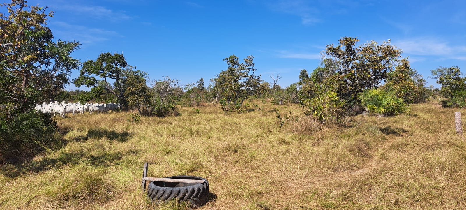 Imagem Fazenda à Venda, 25 Alq GOem Zona Rural - Araguaiana Imagem Fazenda à Venda, 25 Alq GOem Zona Rural - Araguaiana