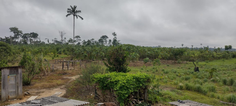 Imagem Terreno à Venda, 2.000 m² em Zona Rural - Humaitá Imagem Terreno à Venda, 2.000 m² em Zona Rural - Humaitá