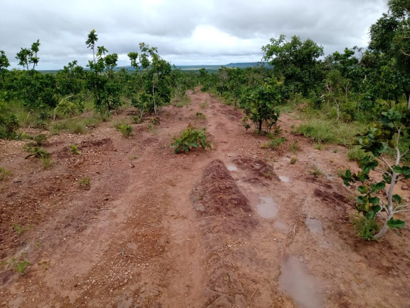 Imagem Fazenda à Venda, 4.870 HA em morumbi - campo grande Imagem Fazenda à Venda, 4.870 HA em morumbi - campo grande