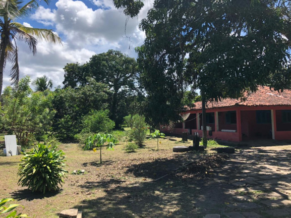 Fazenda à Venda ou Locação, 25.000 m² em Aurora - São Luís