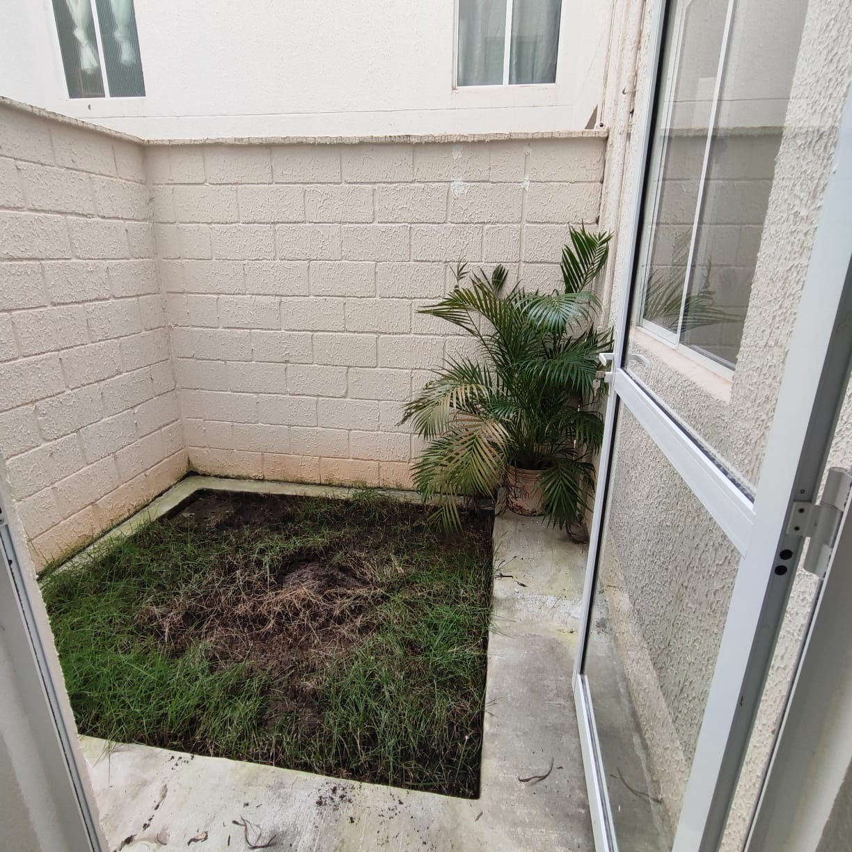 Imagem Apartamento com 2 Quartos para Alugar, 40 m² em Boa União (Abrantes) - Camaçari Imagem Apartamento com 2 Quartos para Alugar, 40 m² em Boa União (Abrantes) - Camaçari