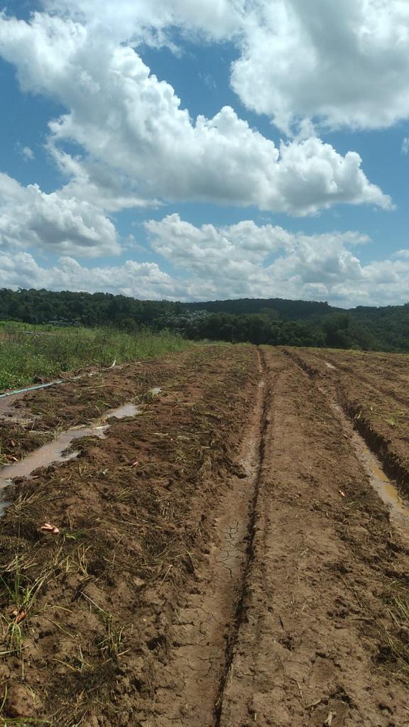 Imagem Fazenda à Venda, 6 Alq. SP em Valadão - Piedade Imagem Fazenda à Venda, 6 Alq. SP em Valadão - Piedade