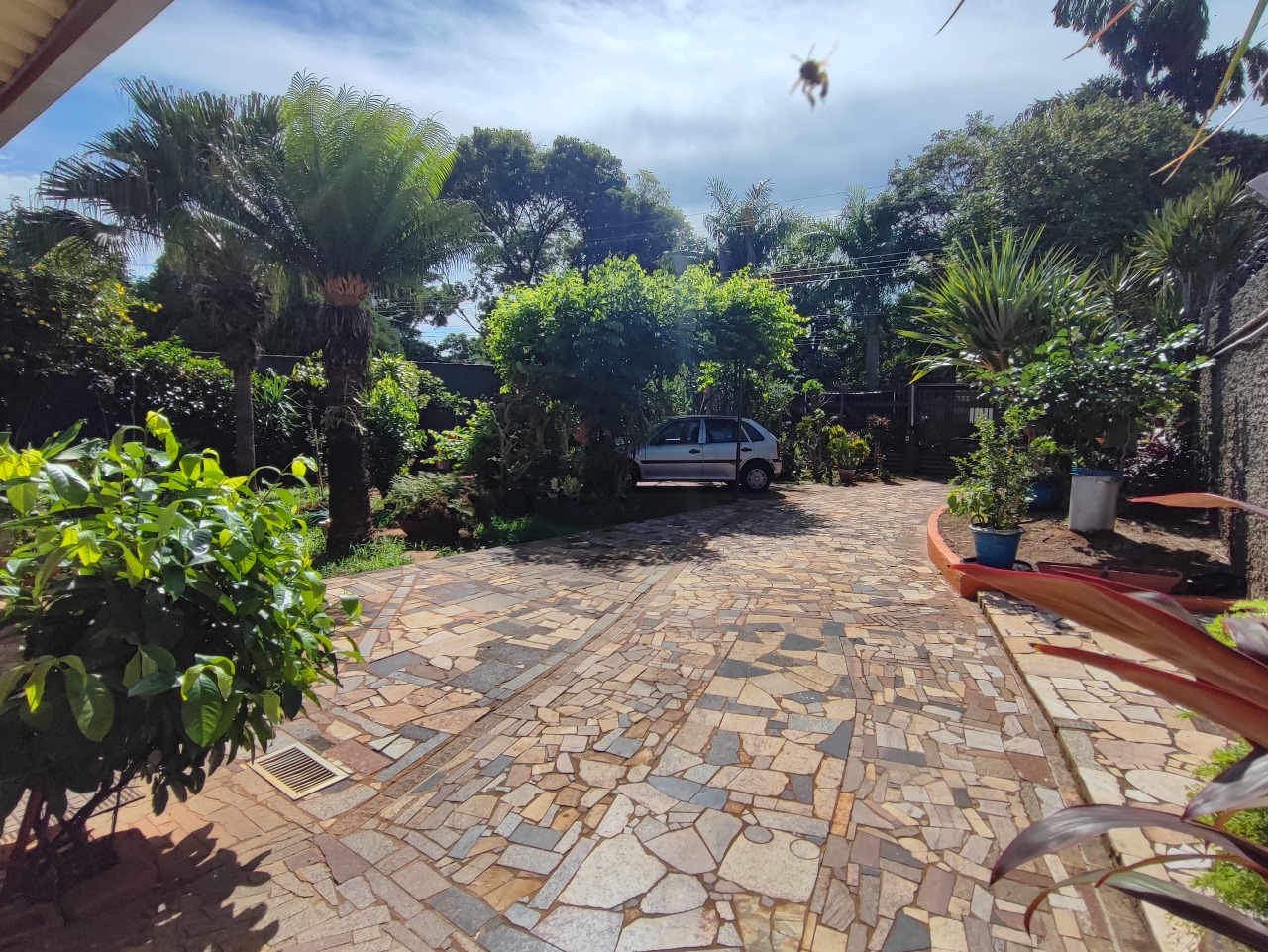Imagem Casa com 2 Quartos à Venda, 222 m² em Vila Taveirópolis - Campo Grande