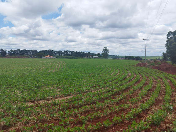 Imagem Terreno à Venda, em Vila Industrial - Arapongas Imagem Terreno à Venda, em Vila Industrial - Arapongas