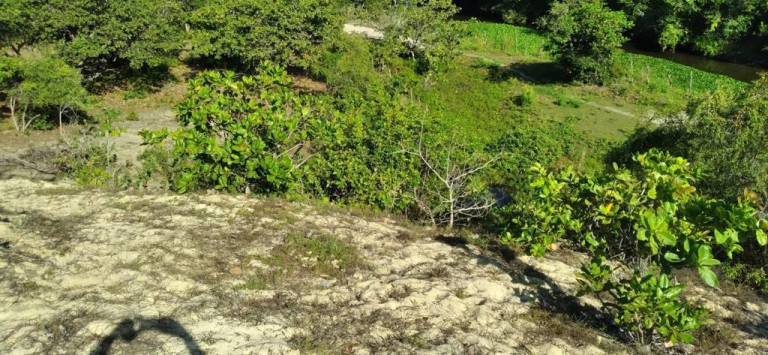 Imagem Terreno à Venda, 5.658 m²em Pajuçara - Natal Imagem Terreno à Venda, 5.658 m²em Pajuçara - Natal