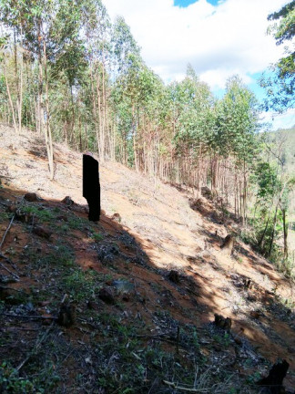 Imagem Terreno à Venda, 1.000 m² em Jardim Zaira - Mauá Imagem Terreno à Venda, 1.000 m² em Jardim Zaira - Mauá