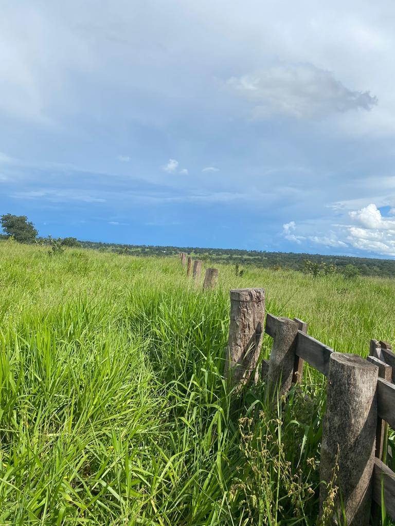 Imagem Fazenda à Venda, 100 Alq GOem ZONA RURAL - Pontal do Araguaia Imagem Fazenda à Venda, 100 Alq GOem ZONA RURAL - Pontal do Araguaia