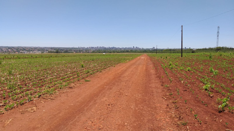 Imagem Fazenda à Venda,  em Gleba Ribeirão Maringá - Maringá