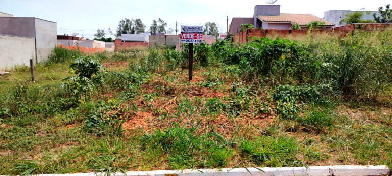 Imagem Terreno à Venda, 200 m²em pioneiros - Espigão D'Oeste Imagem Terreno à Venda, 200 m²em pioneiros - Espigão D'Oeste