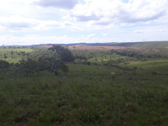Imagem Terreno à Venda, em Centro - Santo Antônio do Descoberto Imagem Terreno à Venda, em Centro - Santo Antônio do Descoberto