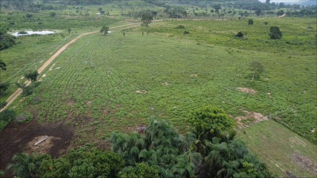 Imagem Fazenda à Venda, 90 m²em Centro - São Félix do Xingu