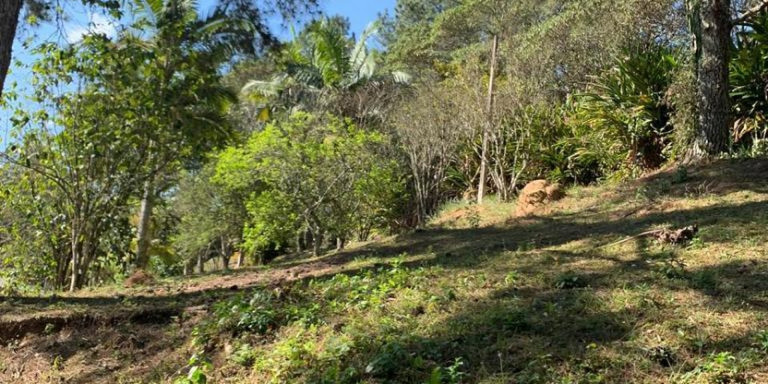 Imagem Chácara com 3 Quartos à Venda, 24.000 m² em Centro - Santa Isabel